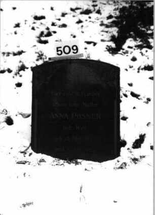 Grabstein 509 (Index: 100092223) Material: Granit Zustand: gut Maße HxBxT: 66x54x15 cm Beschreibung: Stele mit Segmentbogenabschluß, Schriftfeld mit eingezogenem Rundbogenabschluß Symbolik: Rankenornamentik: Grabstein 509