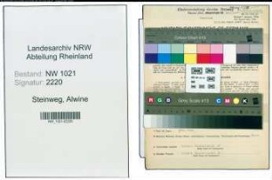 Entnazifizierung Alwine Steinweg , geb. 02.08.1901 (Kauffrau)