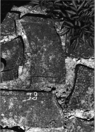 Grabstein 98 (Index: 99796507) Material: Sandstein Zustand: verwittert Maße HxBxT: 0x0x0 cm Beschreibung: Stele, Konvexbogenabschluß Symbolik: Blüte: Grabstein 98 (3)