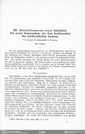Branchiosaurus tener Schönfeld. Ein neuer Stegocephale aus dem Rotliegenden des nordwestlichen Sachsen
