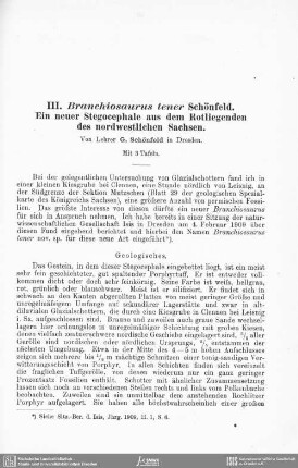 Branchiosaurus tener Schönfeld. Ein neuer Stegocephale aus dem Rotliegenden des nordwestlichen Sachsen