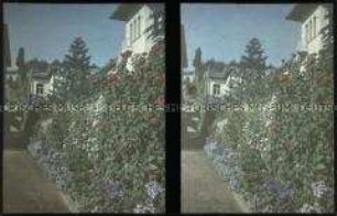 Blick auf ein Wohnhaus mit Garten in Viña del Mar