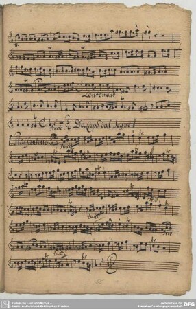 Fasch, J.F., Suiten, FWV K:a3 / Ausw.