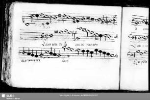 Heinrich Finck: Laus tibi Christe