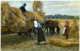 Verladen der Garben auf einen Pferdewagen