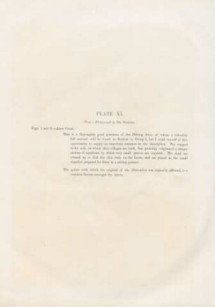 Plate XI.