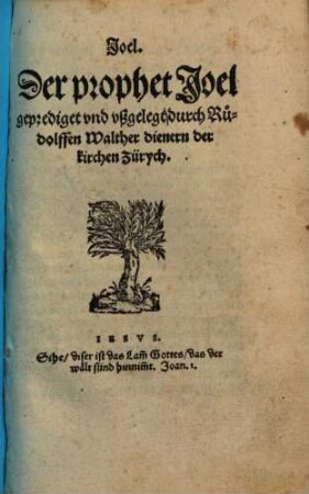Joel : der prophet Joel ; geprediget und ußgelegt
