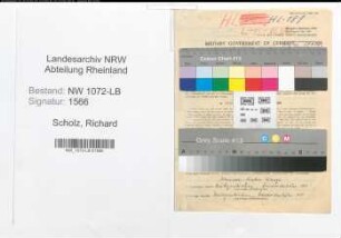Entnazifizierung Richard Scholz , geb. 02.12.1899 (Angestellter)
