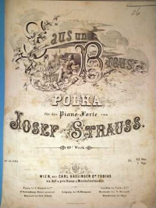 Saus und Braus : Polka für d. Piano-Forte ; 69. Werk