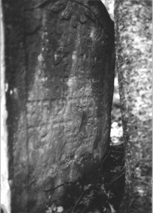 Grabstein 2372 (Detailaufnahme)