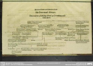 Die neunte Stamm- und Verwandnis-Tafel. Mit Dennemark, Königen