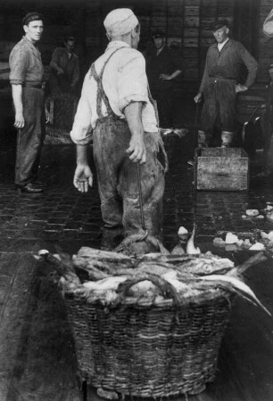 Hamburg-Altona. Im Fischereihafen werden gefangene Fische von den Schiffen transportiert. Hier zieht ein Fischer einen Korb voller Fische