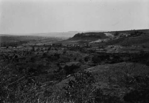 Landschaft bei São Carlos : Blick in ein Tal mit Grasland und Bäumen. Rechts Landstufen und Hänge.