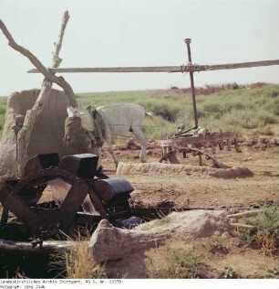 Irak: Esel an der Wasserpumpe