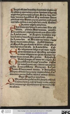 In primis vesperis antiphona: Sicut lilium inter spinas...