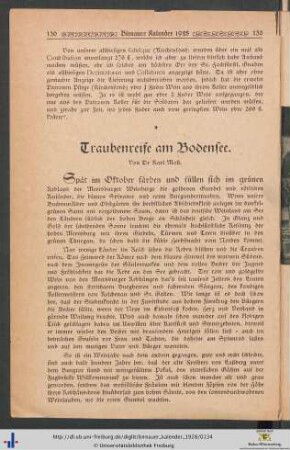 Traubenreife am Bodensee.