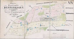 N° V; Charte von der Dorffeldmark Reppenhagen. D.A. Grevesmühlen.