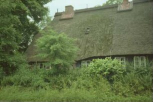 Oher Weg 7: Bauernhaus mit Reetdach: Traufseite