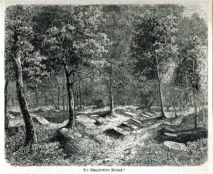 Grafik "Der Schnepfenthaler Friedhof"