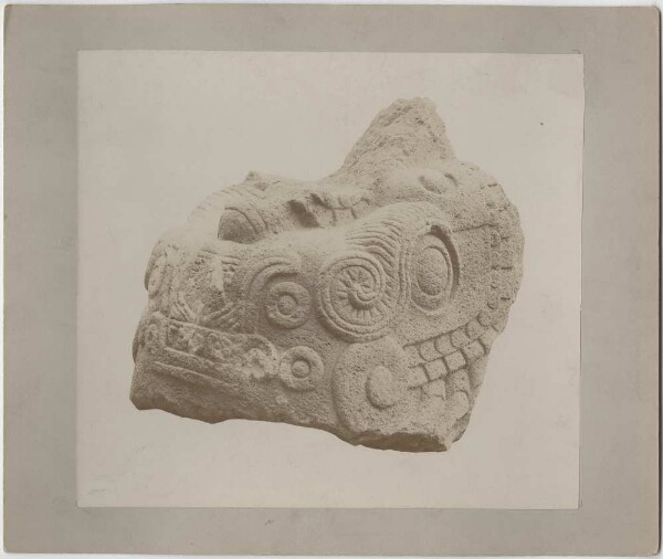 Colossal stone head of a fire snake (Xiuhcouatl) with the date naui acatl "four pipe".