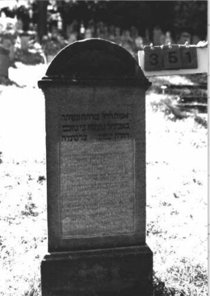 Grabstein 351 (Index: 100106754) Material: Sandstein Zustand: stark verwittert, weitgehender Textverlust, Lettern in den ersten drei Zeilen nachgezogen, weitgehend falsch Maße HxBxT: 128x48x15 cm Beschreibung: Stele mit Abdeckplatte und Segmentbogenaufsatz, Schriftfeld rechteckig eingetieft, Sockel: Grabstein 351