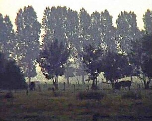 Otto Modersohn