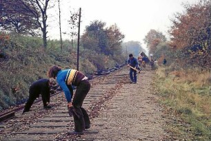 Blumendorf: Gleiserneuerung