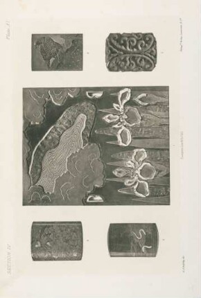 Plate XI.