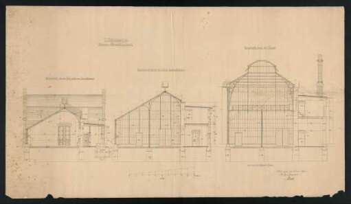 Neubau Gewächshaus im Alten Botanischen Garten: Querschnitte durch die niederen und hohen Langhäuser und die Kuppel