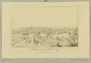Stadtansicht von Hohenstein (Hohenstein-Ernstthal) bei Chemnitz von der Landstraße im Südosten