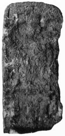 Xultun, Stela 15 (XUL: St. 15)