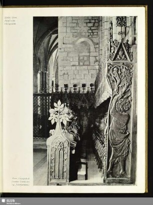 Dom. Chorgestühl (zweites Viertel des 14. Jahrhundert)