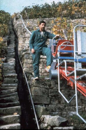 Fotografie: Weinbau, Kulturtechnik