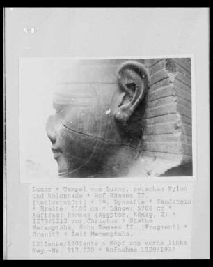 Hof Ramses II. — Statue