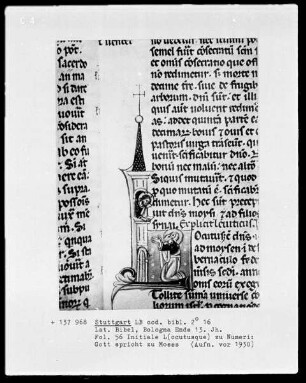 Lateinische Bibel — Initiale L (ocutusque), darin spricht Gott zu Moses, Folio 56recto