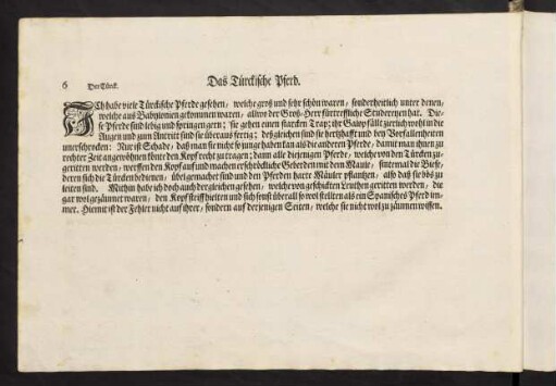 6, Das Türckische Pferd.