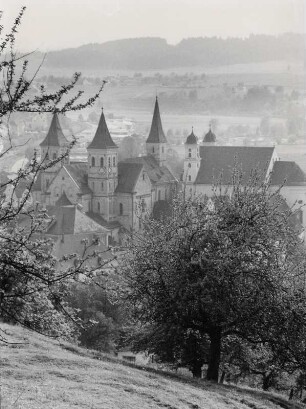 Blick auf Ellwangen und die Stiftskirche