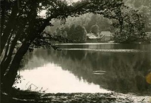 Isenachweiher bei Bad Dürkheim