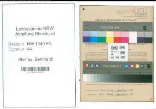 Entnazifizierung Bernhard Stenau , geb. 08.05.1893 (Gaertner)
