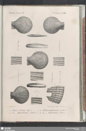 Pl. 440