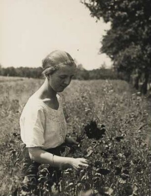 Eine junge Frau steht in einem Feld und pflückt Mohn
