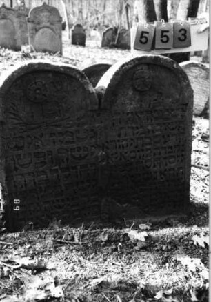 Grabstein 553 (Index: 99753016) Material: Sandstein Zustand: leicht beschädigt, sonst gut Maße HxBxT: 78x87x11 cm Beschreibung: Doppelstele, Schriftfelder eingetieft Symbolik: zwei Blüten, Ranken: Grabstein 553