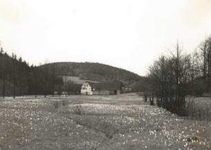 Osterzgebirge. Mordgrund, Hammergut Bienhof bei Oelsen