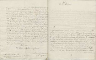 Johann Friedrich Reiffenstein an Karoline Luise von Baden (Straßburg)