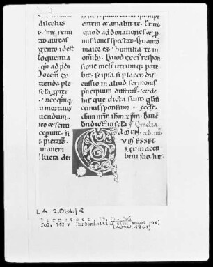 Bernardus, Sermones in Contica Canticorum — Initiale C(um esset), Folio 148verso
