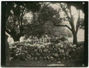 das weli othman bei banias [Banyas]