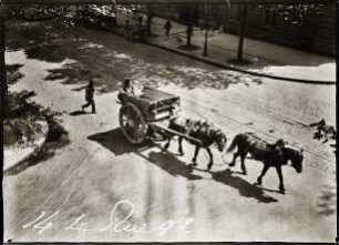 Paris. Pferdewagen auf dem Boulevard Haussmann