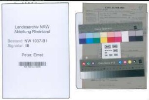 Entnazifizierung Ernst Peter , geb. 00.00.0000 (Gerichtsvollzieher)