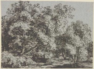 Bäume am Wasser