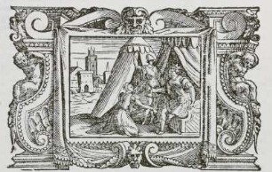 Titelbild, Libro Ottavo